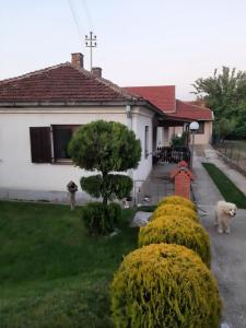 Nikolic Apartment