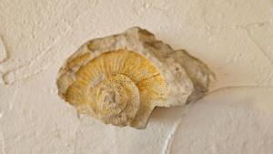 Maisons de vacances Ferienhaus La Belle Vie mit Garten, Meerblick, Gemeinschaftspool, 3 Minuten zum Meer : photos des chambres