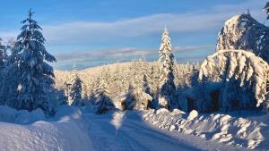 Holiday Home Långberget