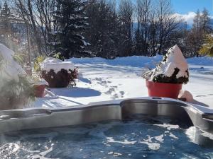 Chalet avec SPA, 6 Couchages, Terrasse Sud & Confort à Saint-Michel-de-Chaillol - FR-1-393-7