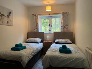 Forestry Cottage. Hot tub, open fire, dog friendly