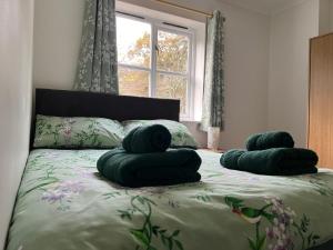 Forestry Cottage. Hot tub, open fire, dog friendly