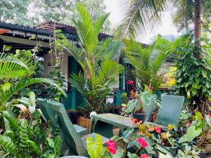 Sigiri Budget Homestay