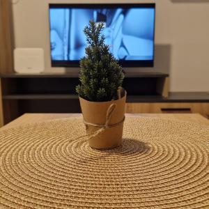 Stan na dan Apartman S