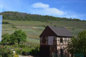 Maisons de vacances Au coeur du vignoble Alsacien : photos des chambres