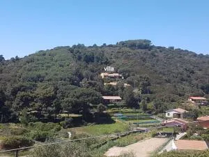 Villa Marilena - Goelba - Cavoli