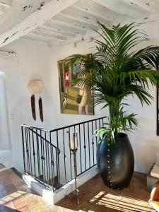 Guest AppArt
