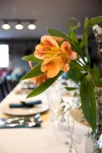 Uroczysko Oleśnica - Podanin