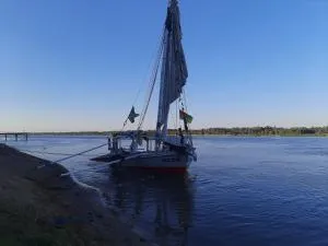 Dream of life - Naj‘ al ‘Amrāb