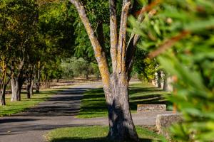 Domaine de Valloncourt