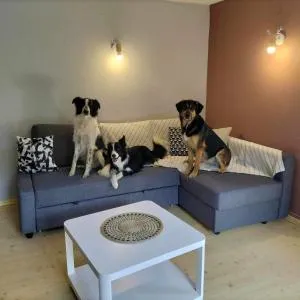 Gîte Les Copains de Maui - 巴伦塔尔