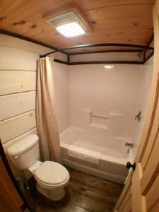 Tiny Home Cottage Near the Smokies #1 Olga
