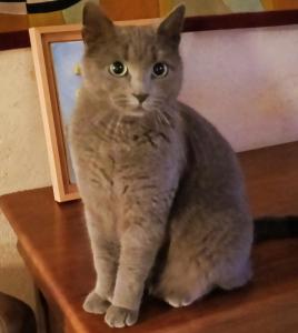 B&B / Chambres d'hotes Les Chambres d'Hotes chez Alisa et Daniel : photos des chambres