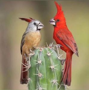 Hostal Castillo Del Mar