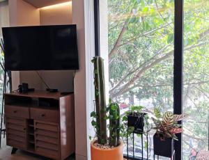 Design Studio in Roma Norte - Walk Everywhere