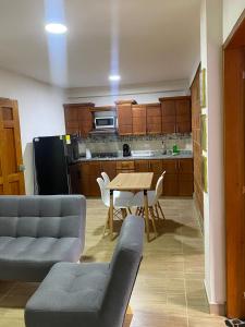 Apartahotel Villa Carolina 3