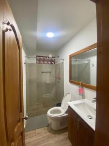 Apartahotel Villa Carolina 4