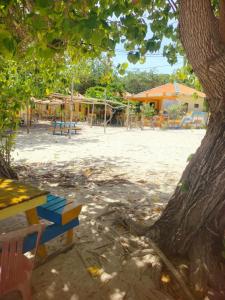 Ocean Holiday liukang