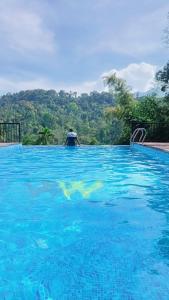 Wayanad Whistling Woods