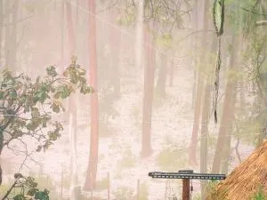 OCTLI CABAÑA Y PULQUERIA - Ocosingo