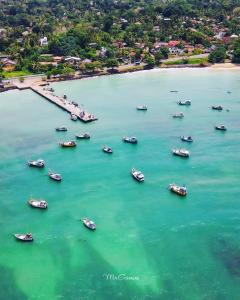 Bayview Seafood rest