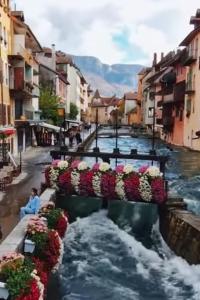 Magnifique Apt à deux pas du lac et près du centre