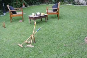 "27" Spathodea- Oasis in the City - Bambalapitiya