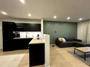 Kotimaailma Apartments #6 - Hieno ja tilava kaksio keskustassa - 拉普阿