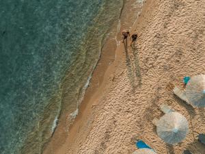 Secret Paradise Hotel & Spa