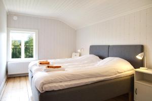 B&B Bjärtrå