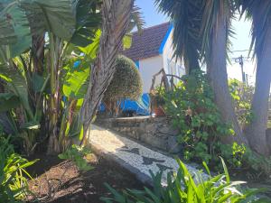 Lucky Lemons - Boutique Houses Madeira - 2