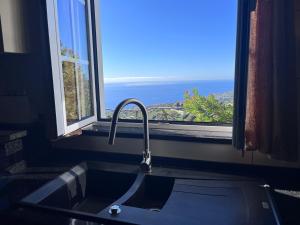 Lucky Lemons - Boutique Houses Madeira - 2