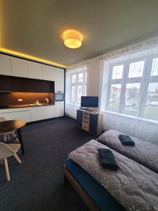 Skořepka15 apartment Brno-střed