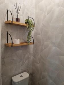 Appartements Appart'hotel SOLESMES : photos des chambres