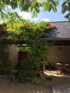 Maisons d'hotes Les Caves : photos des chambres