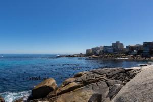 Modern & Luxurious Seaside Apartment