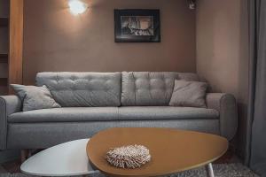 Apartment Podgorica Center