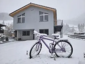 Splügen Haus Engadinella - Andeer