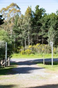 Cabañas El Viejo Sauce