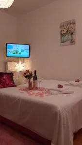 PINK PANTER 83 - 多博伊