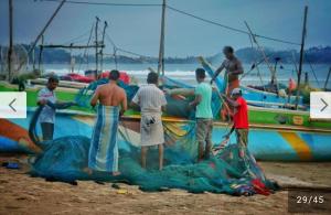 Raymond Place -REDSTAR