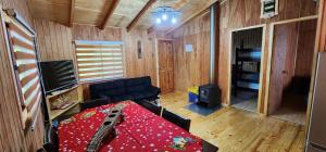 Entre Esteros Hornopiren