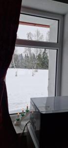 Zirgu sēta "Klajumi" - Horse ranch "Klajumi"