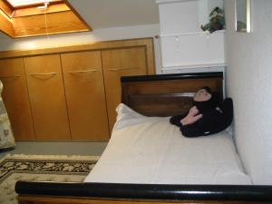 Odenwaldblick Michelstadt