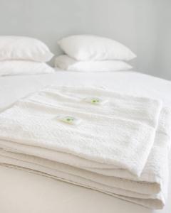 Hungarian Biscuits Historic Center