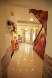 Nhà Của Thỏ Vân Anh