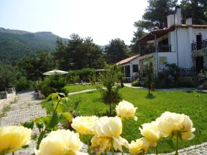 Menir Luxury Apartments Thassos Greece