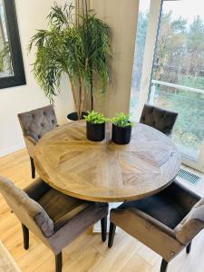 Azure Apartment - Playa Baltis