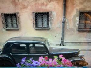 Krzywe Koło 2-4 m 1