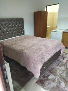 ΣΕΤΣΚΟΣ ΖΗΣΗΣ